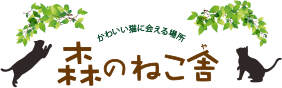 森のねこ舎