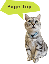 PageTop